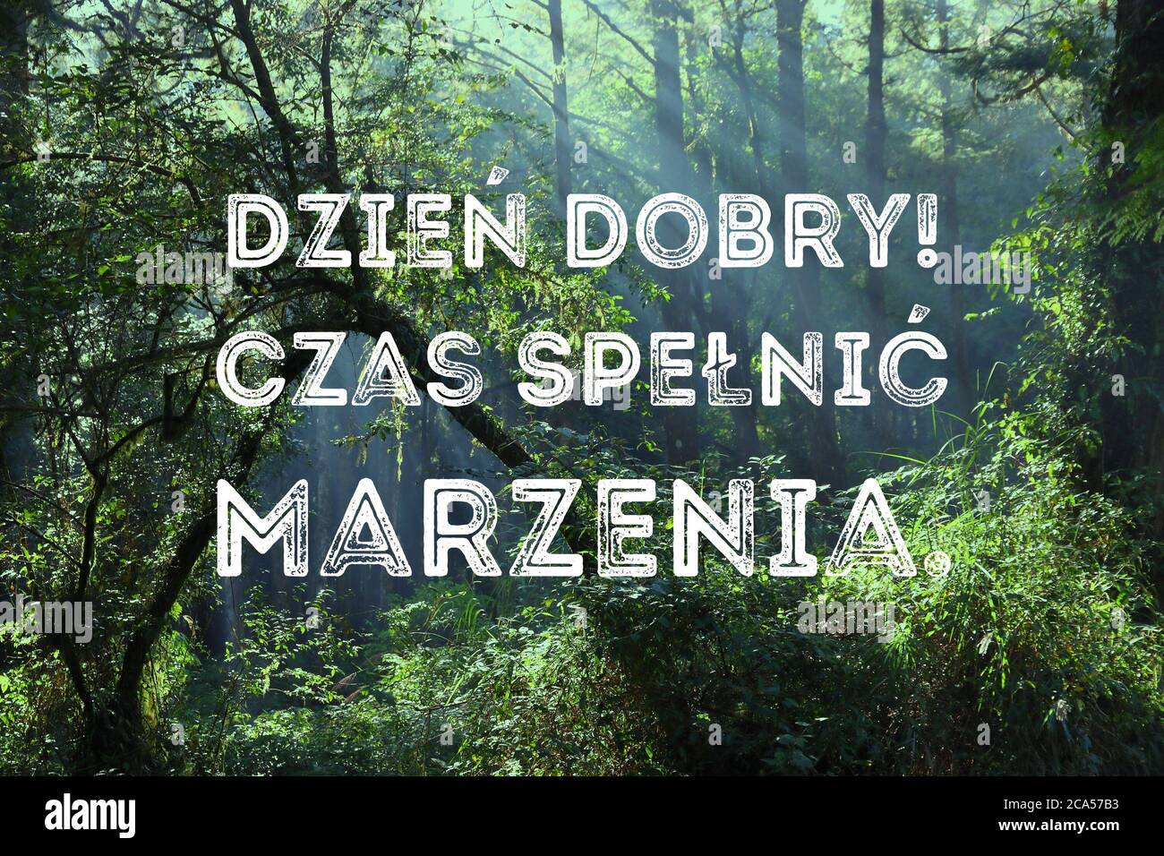 Dzien dobry, czas spelnic marzenia (Guten Morgen, Zeit, Träume in polnischer Sprache zu erfüllen). Motivationsposter in polnischer Sprache. Stockfoto