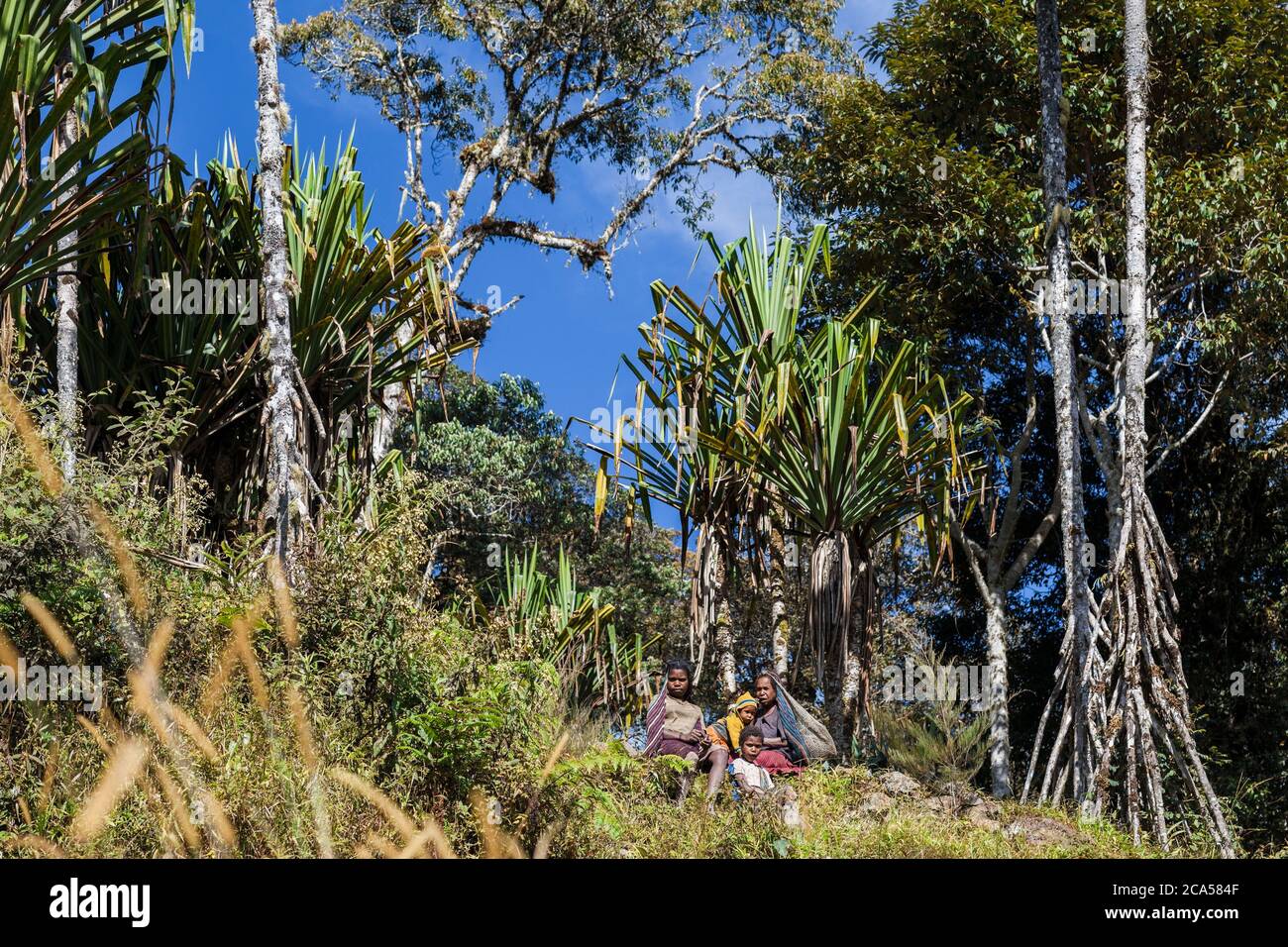 Indonesien, Papua, Baliem Tal, in der Nähe von Wamena, Yali Gebiet, Wanderwege in Richtung Angguruk Dorf, papua Familie im Wald Stockfoto
