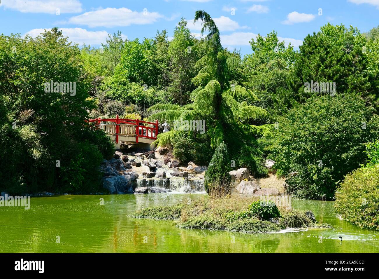 Frankreich, Cote d'Or, Dijon, Suzon Park, japanischer Garten Stockfoto