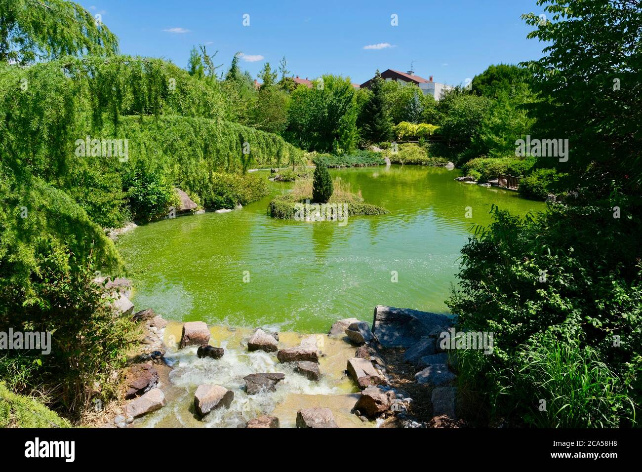 Frankreich, Cote d'Or, Dijon, Suzon Park, japanischer Garten Stockfoto