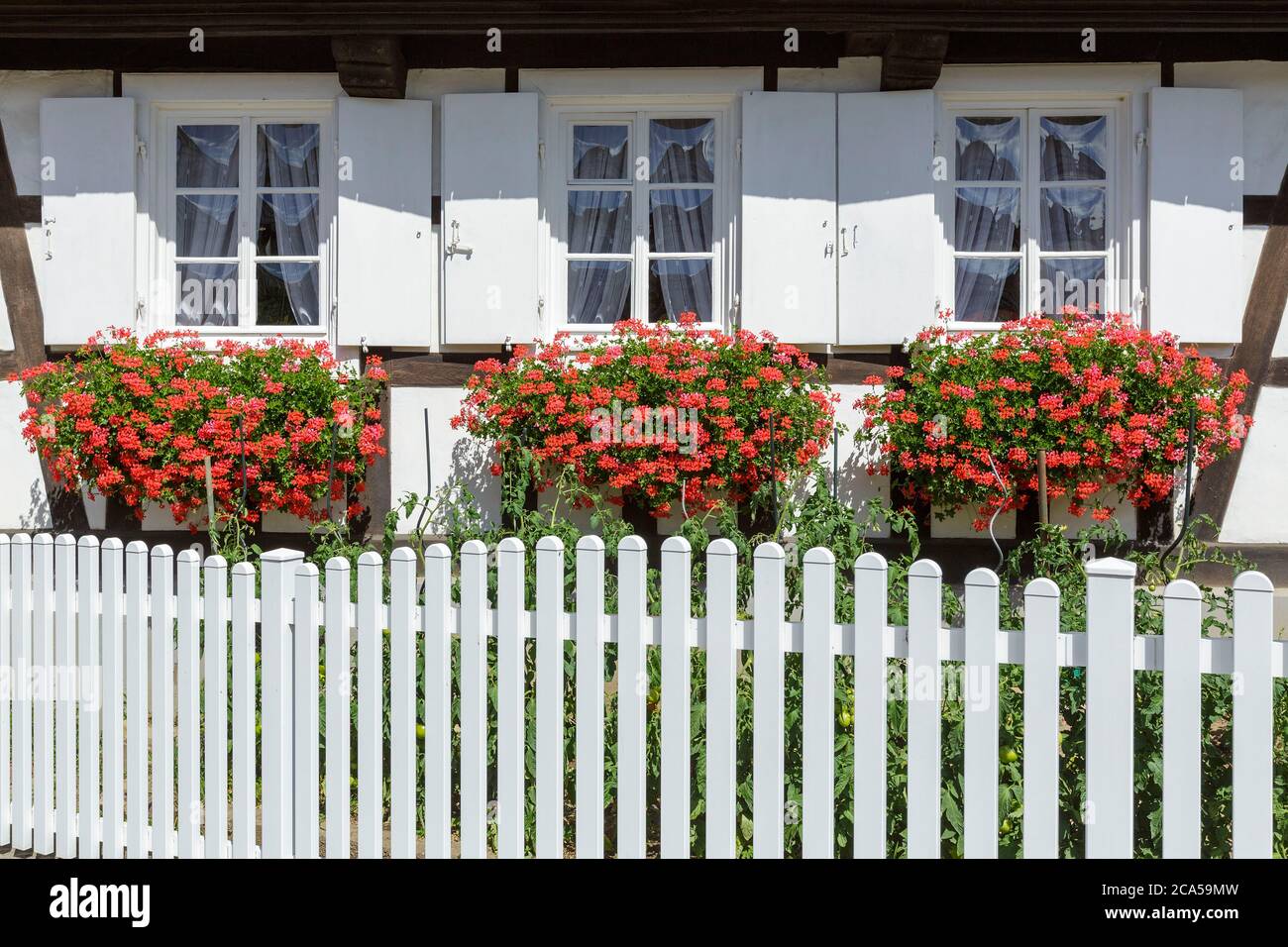 Frankreich, Bas Rhin, Nordvogesen natürlichen regionalen Park, Hunspach, markiert eines der schönsten Dörfer in Frankreich, Lieblingsdorf der franzosen Stockfoto