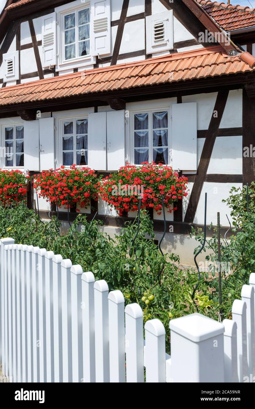 Frankreich, Bas Rhin, Nordvogesen natürlichen regionalen Park, Hunspach, markiert eines der schönsten Dörfer in Frankreich, Lieblingsdorf der franzosen Stockfoto