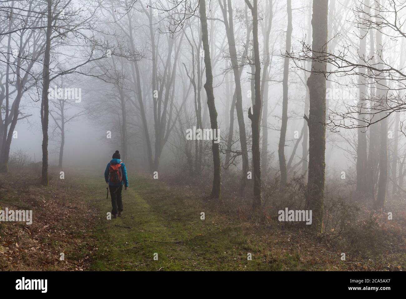 Frankreich, Tarn, Trebas, Wanderer im Wald im Tarntal Stockfoto