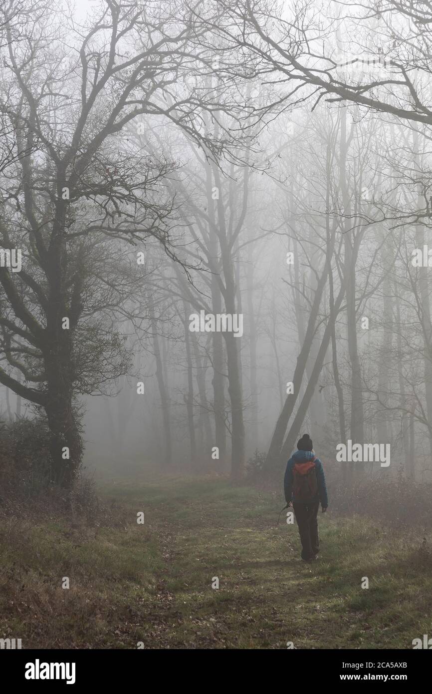 Frankreich, Tarn, Trebas, Wanderer im Wald im Tarntal Stockfoto