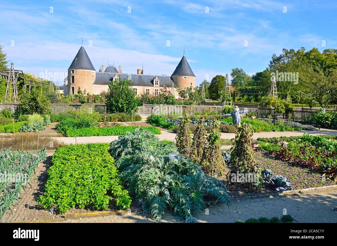 Frankreich, Loiret, Chilleurs aux Bois, Park und Gärten des Chateau de Chamerolles, Jardin Renaissance, Gemüsegarten-Platz Stockfoto