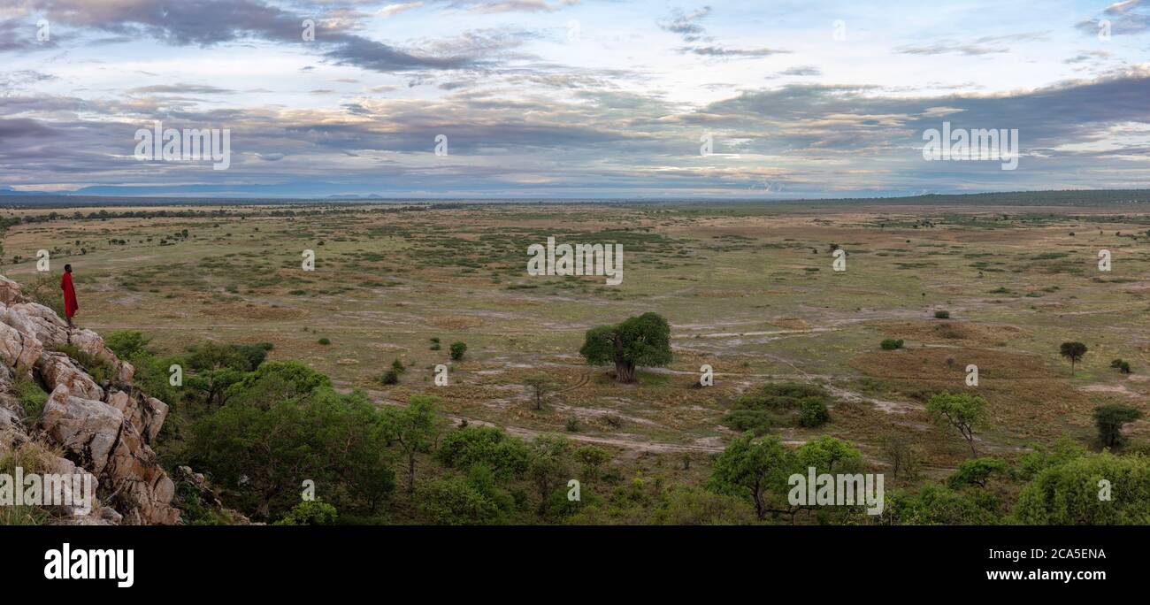 Tansania, Randilen, WMA (Wildlife Management Area), EIN Massai auf der Spitze der Klippe, beobachtet den Horizont Stockfoto