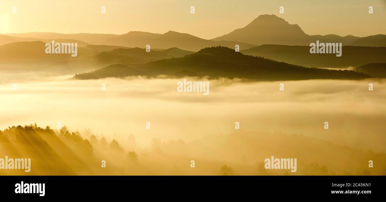 Frankreich, Aude, Antugnac, Landschaft im Nebel bei Sonnenaufgang Stockfoto