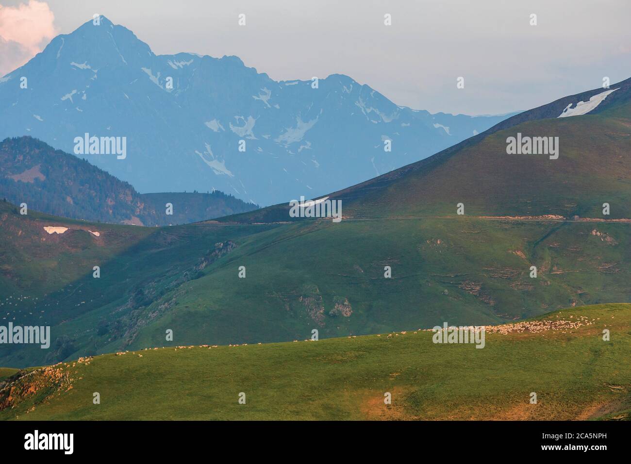 Frankreich, Hautes Pyrenäen, Barousse, Port de Bales, Berg- und Sommerweiden bei Sonnenaufgang Stockfoto