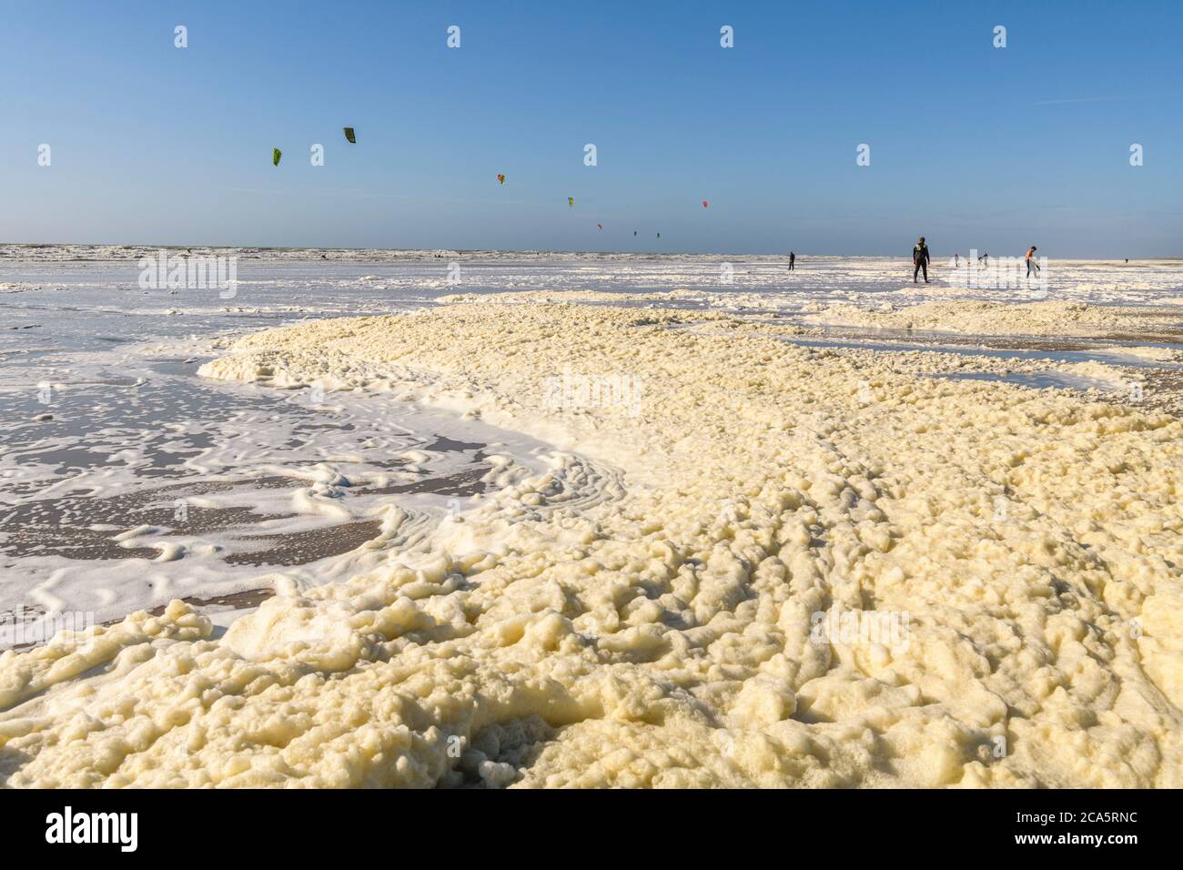 Frankreich, Somme (80), Baie de Somme, Ault, an einem windigen Tag kommen Kitesurf-Enthusiasten, um ihren Sport am Strand auszuüben, der teilweise mit Maikaum bedeckt ist (Plankton-Excrete-Substanzen, die die Bildung von Schaum in Wasser fördern, das zu dieser Zeit vom Wind bewegt wird). Stockfoto