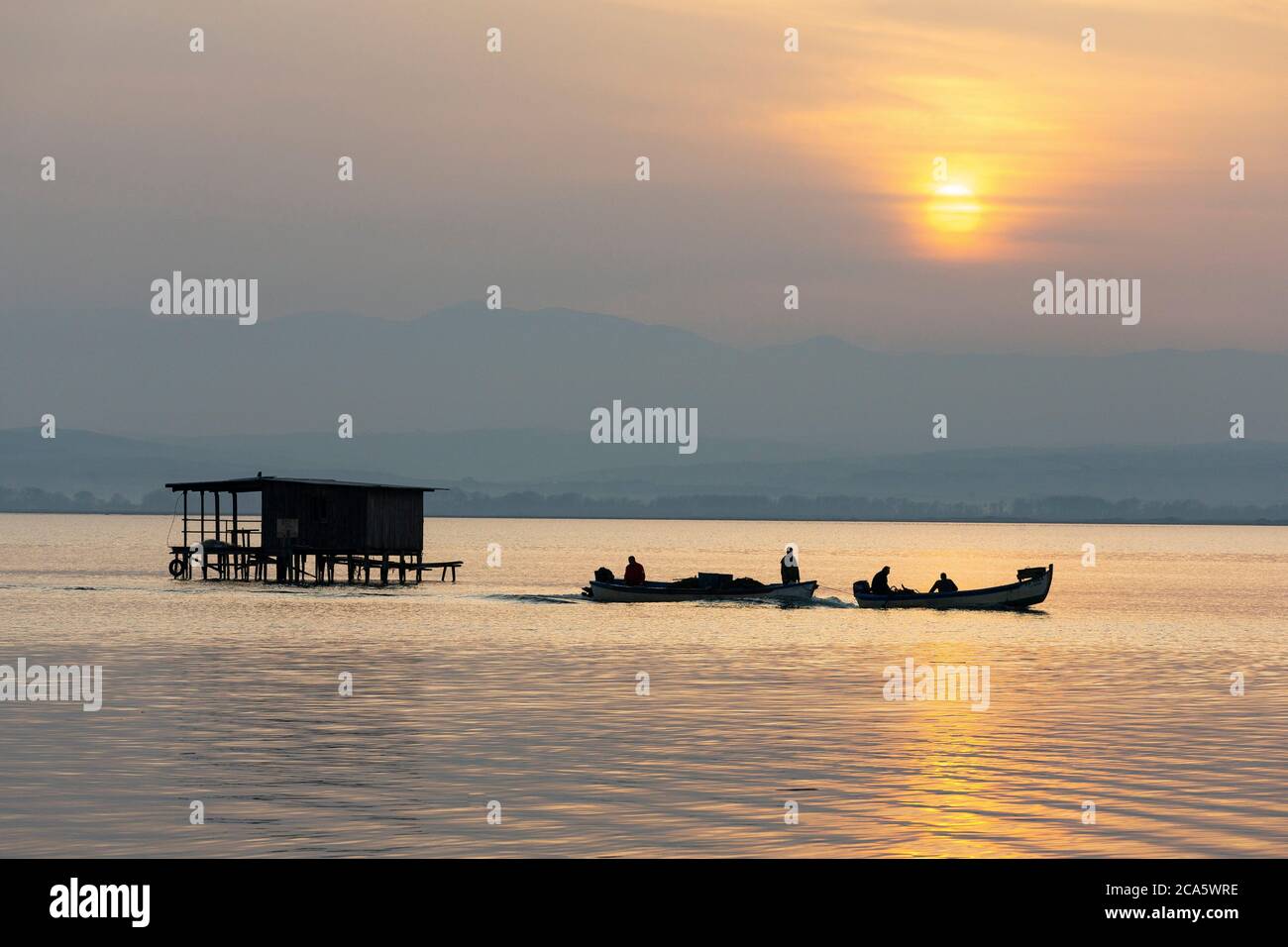 Griechenland, Mazedonien, Thessaloniki, Axios Delta Nationalpark, Nationalpark von Griechenland, gegründet 2008, stellt eines der größten geschützten Feuchtgebiete in Europa. Es ist die Heimat vieler Vogelarten Stockfoto