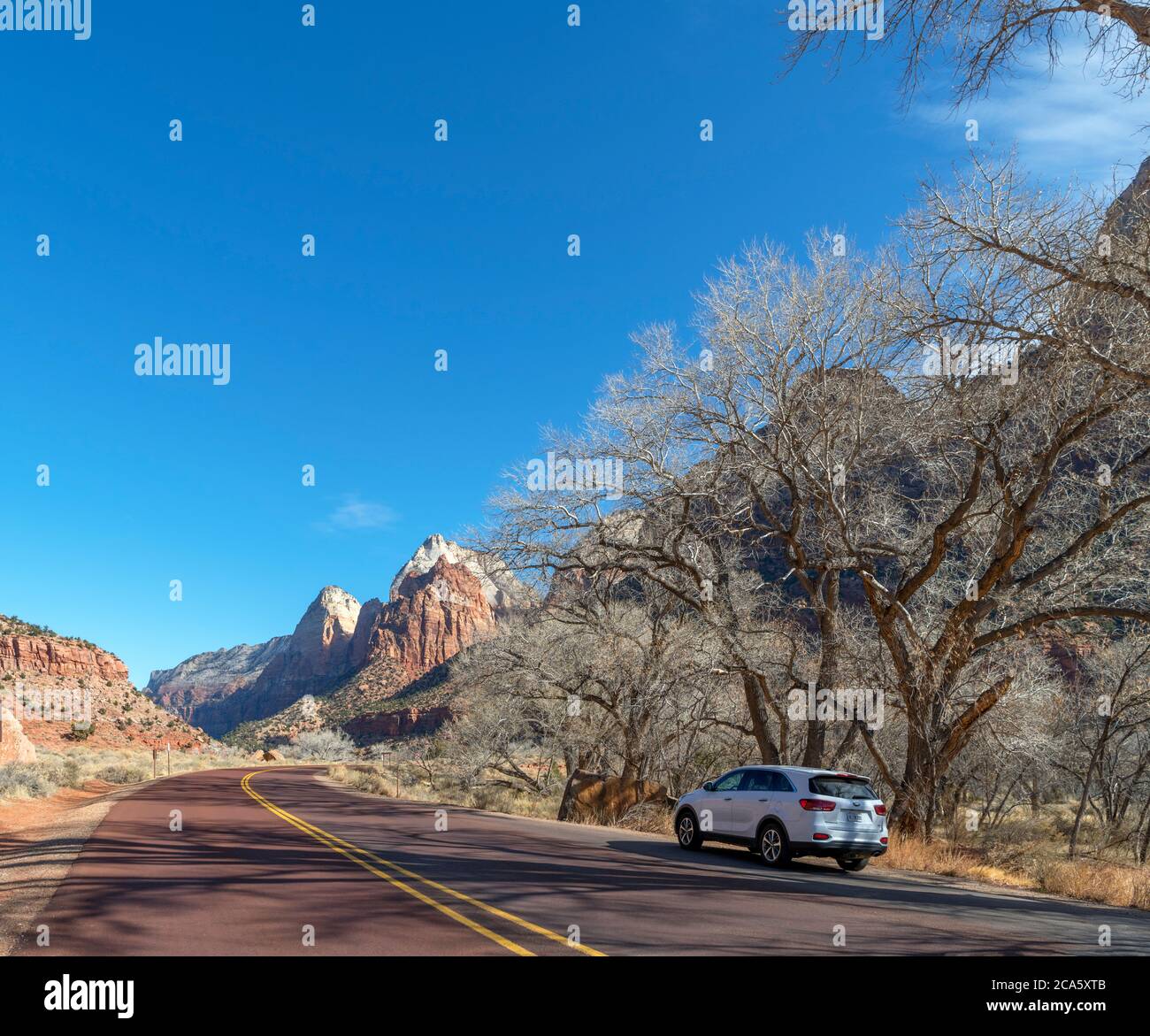Der Zion-Mount Carmel Highway in der Nähe des Museums, Zion National Park, Utah, USA Stockfoto
