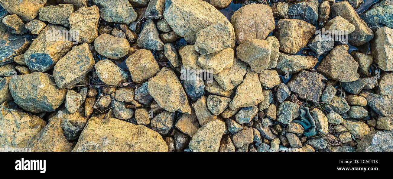 Blick auf Steine, Periodite, Erdmännchen, Gros Morne National Park, Neufundland Stockfoto