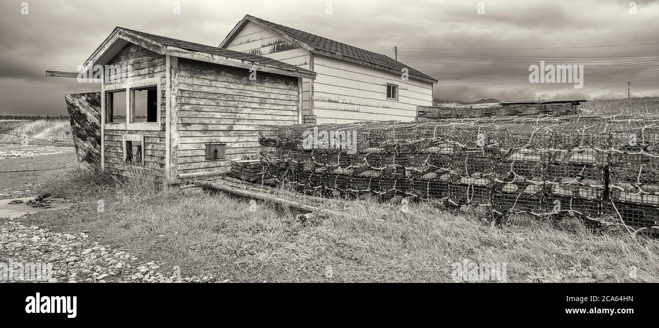 Blick auf Fishing Outpost, West-Neufundland Stockfoto