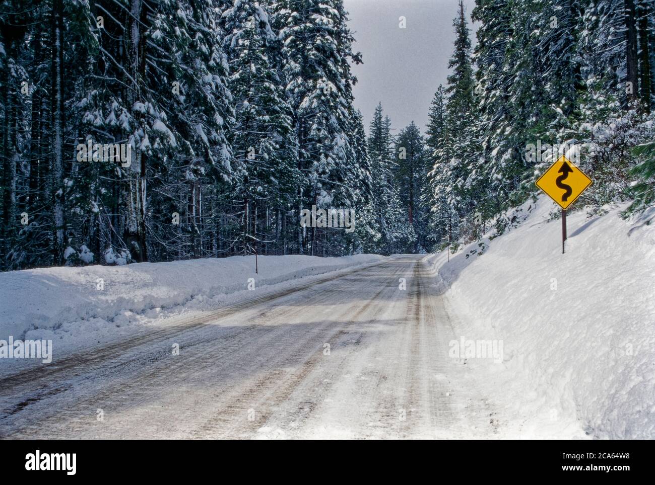 Blick auf die Straße zwischen Wald am Wintertag Stockfoto