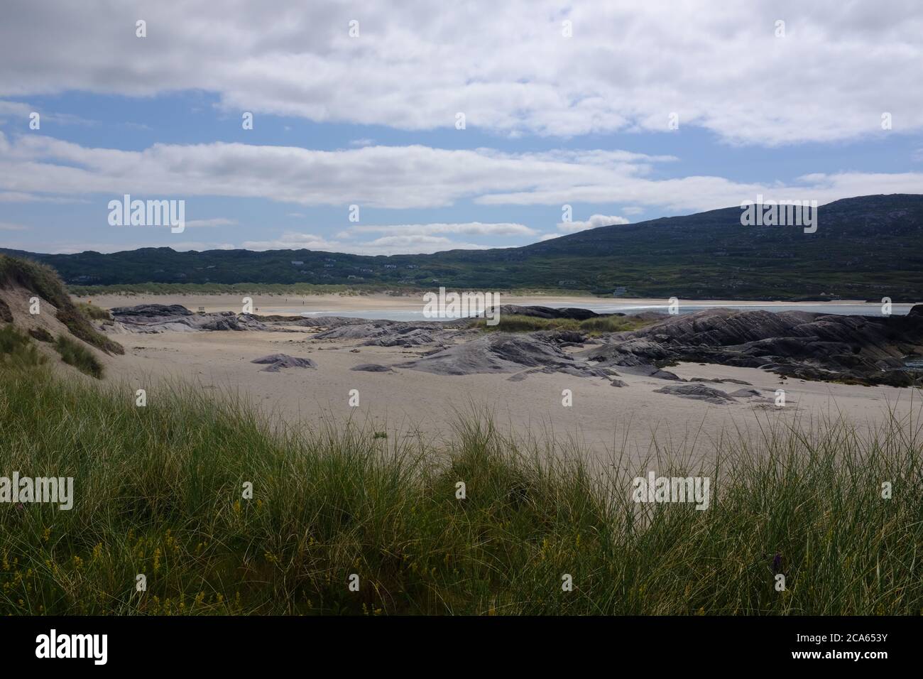 Spaziergang auf dem Kerry Way im Jahr 2019 in Graf Kerry im Süden Irlands, der um den Abschnitt der Iveragh-Halbinsel Caherdaniel nach Waterville führt Stockfoto