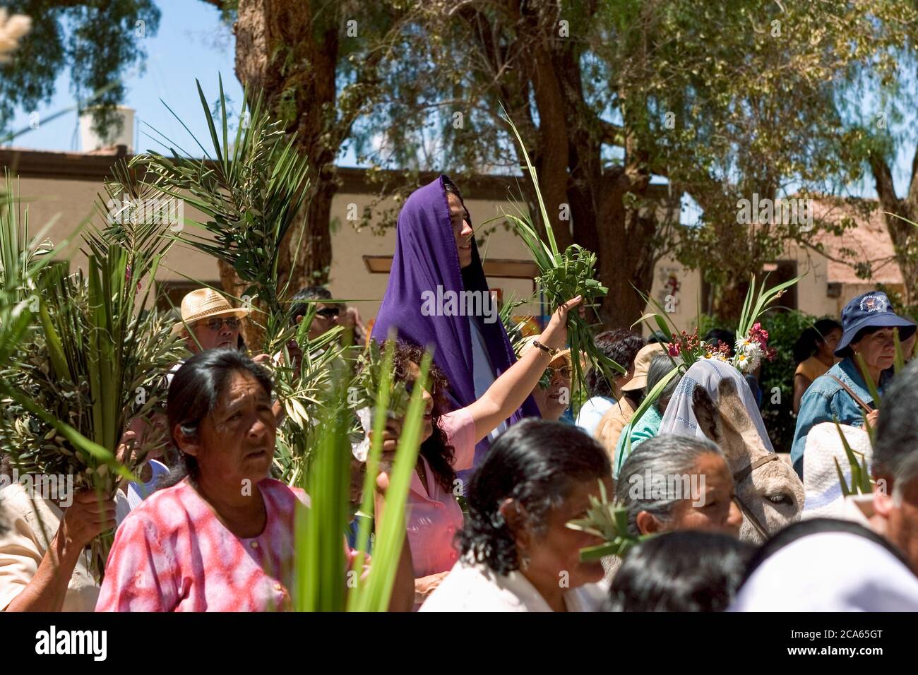 "Jesus" auf einem Esel, Palmsonntag Prozession, San Pedro de Atacama, Chile Stockfoto