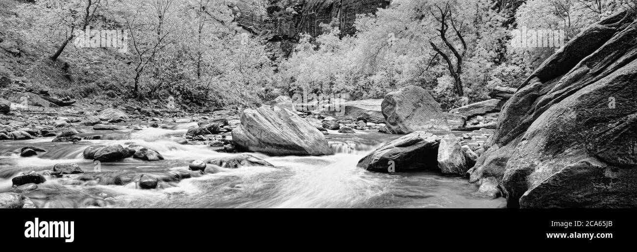 Virgin River Cascades, The Narrows, Zion National Park, Utah, USA Stockfoto