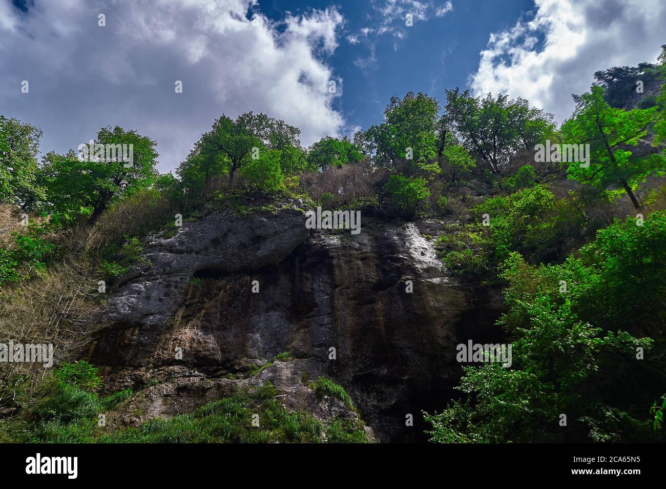 Ein großer Wasserfall in einem Wald Stockfoto