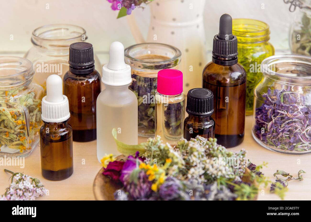 Viele verschiedene aromatische Ölflaschen auf dem Tisch, dekoriert mit wilden getrockneten Blumen und Pflanzen. Lifestyle-Komposition. Stockfoto