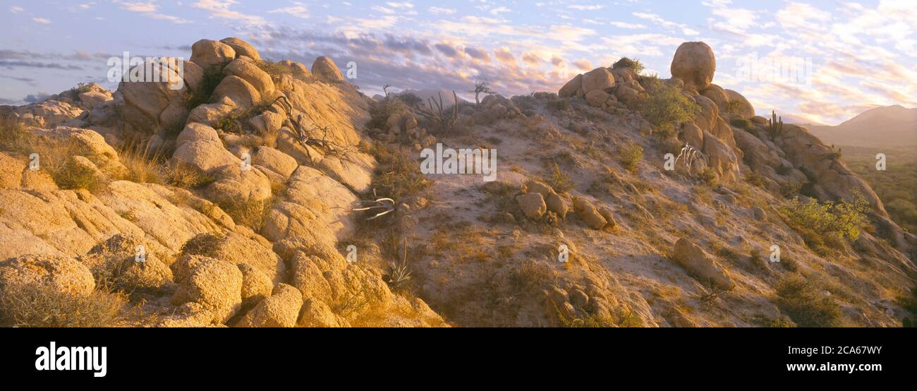 Blick auf Berggipfel, Feuerstein, Cabo Pulmo, Baja California Sur, Mexiko Stockfoto