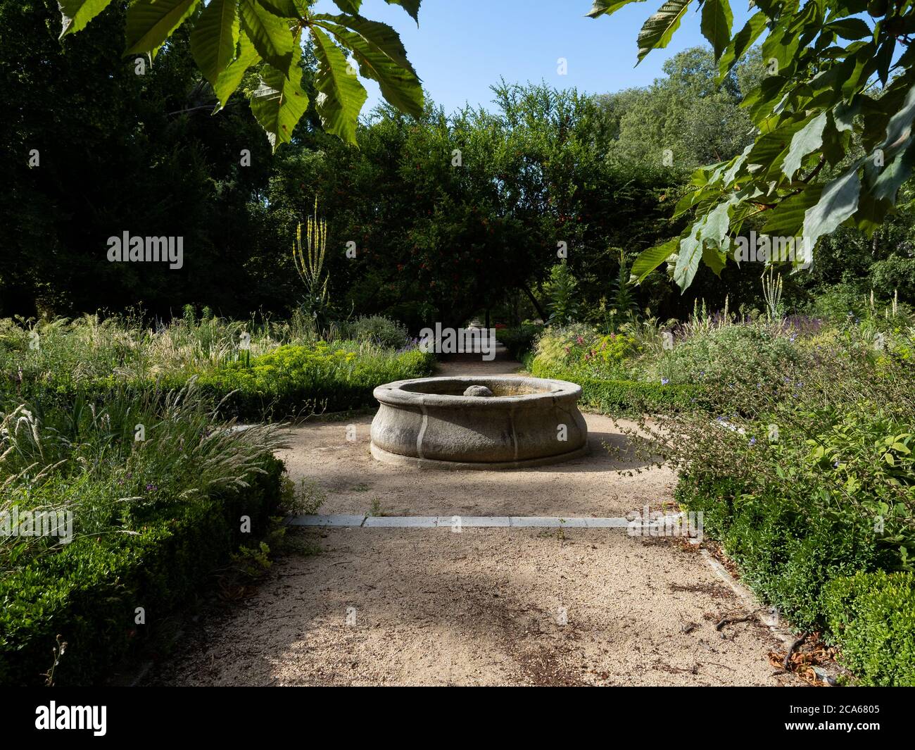 Königlicher botanischer garten von madrid Fotos und Bildmaterial in