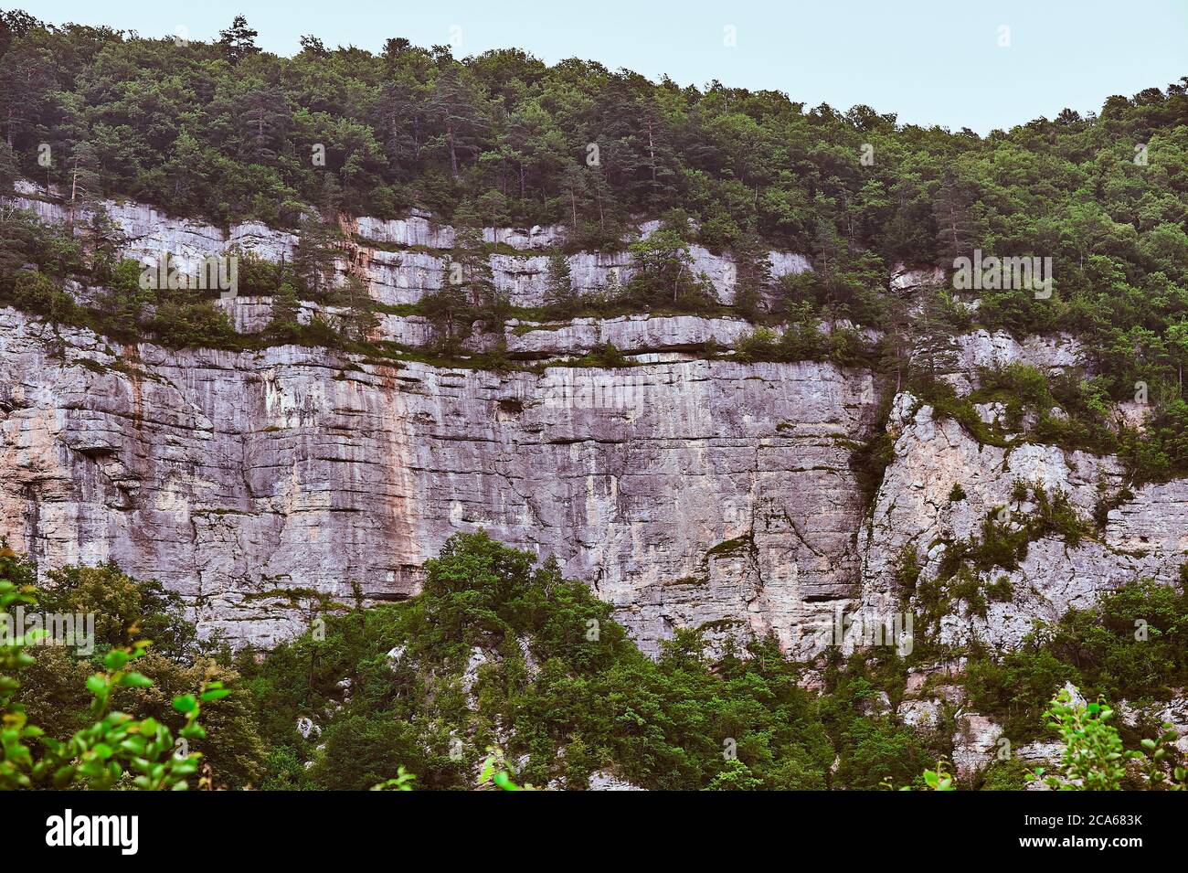 Ein Stein mit Sträuchern und Bäumen Stockfoto