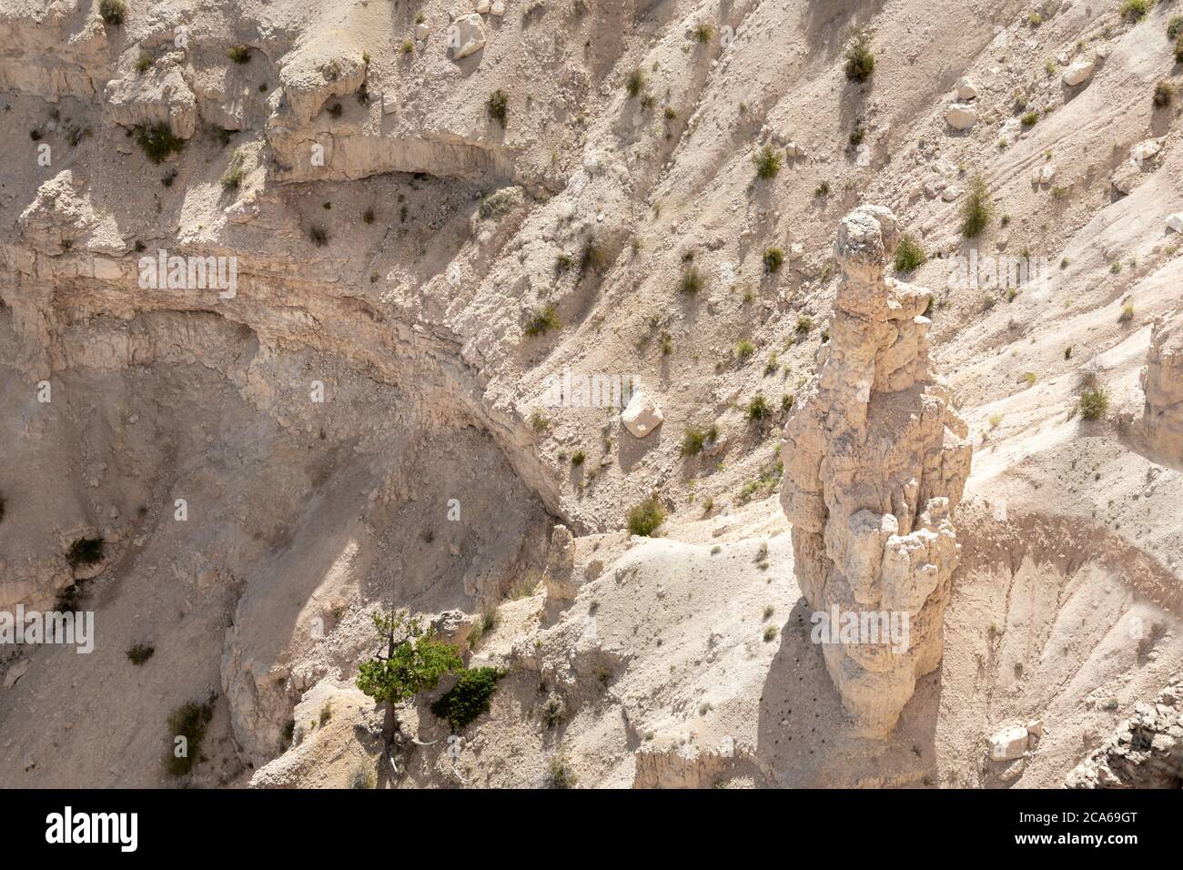 Single Hoodoo im Bryce Canyon National Park, Utah Stockfoto