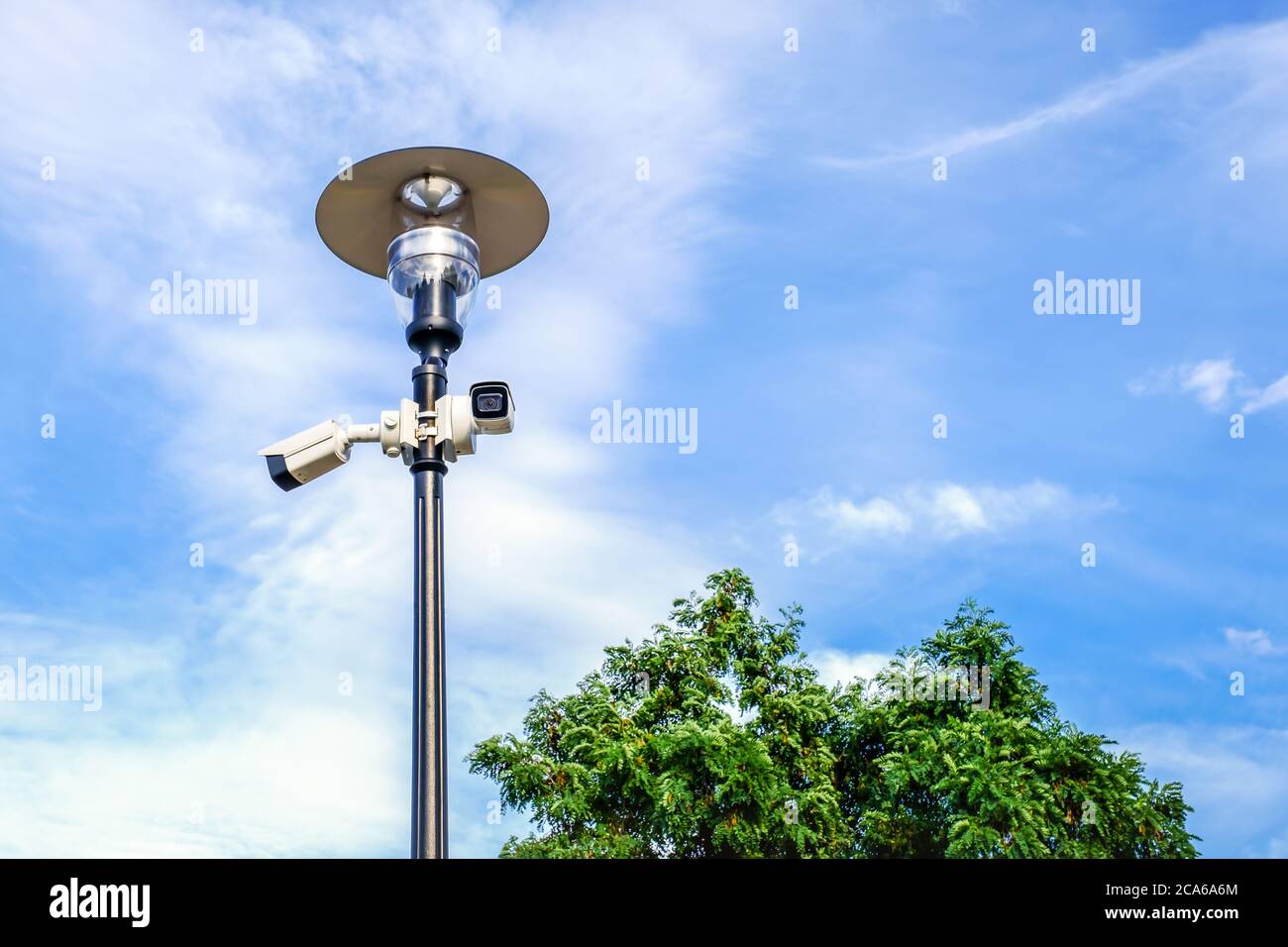 Zwei weiße Überwachungskameras an der Metalllampe im öffentlichen Park. Stockfoto