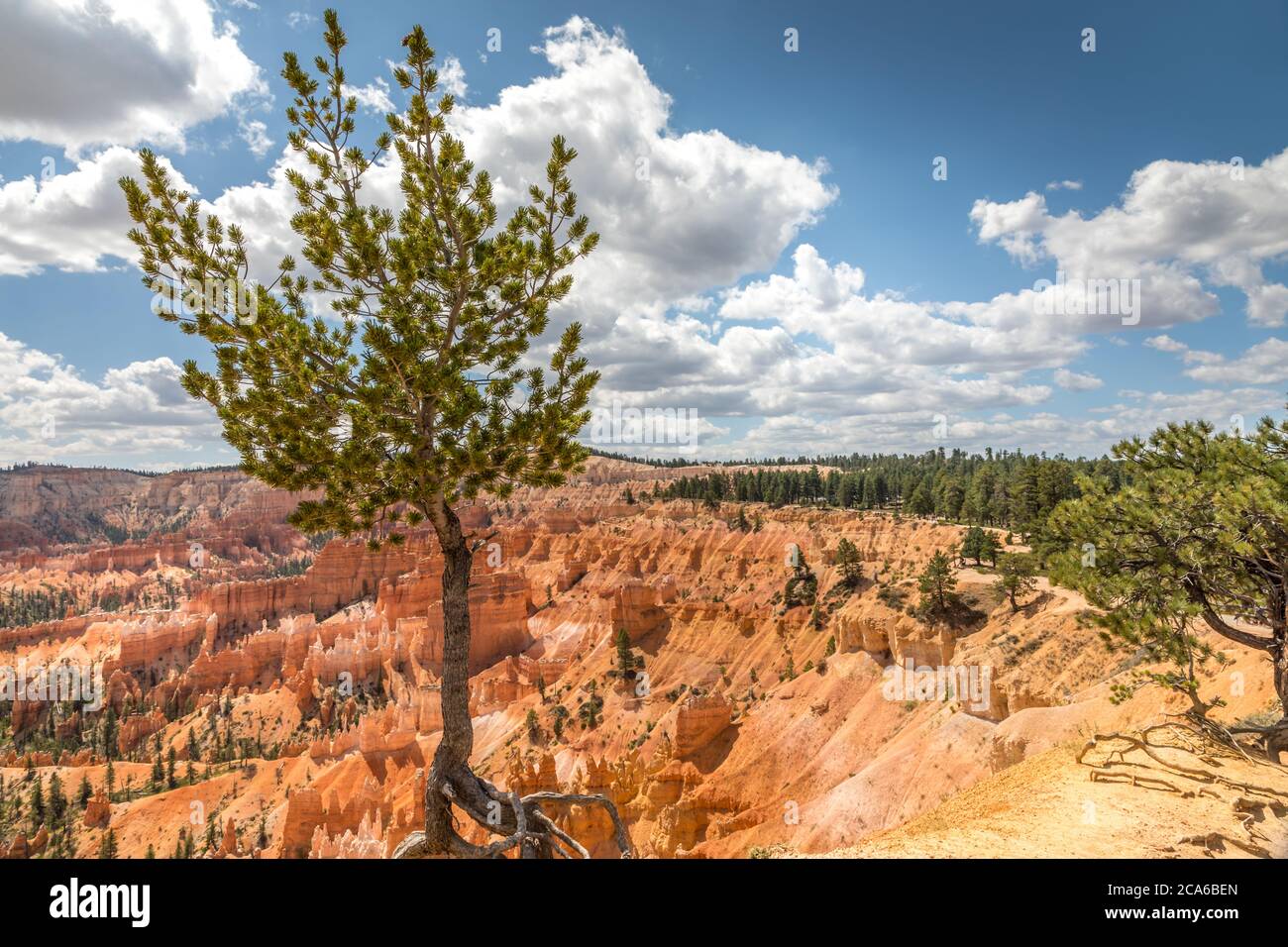 Amphitheater im Bryce Canyon, Utah USA Stockfoto