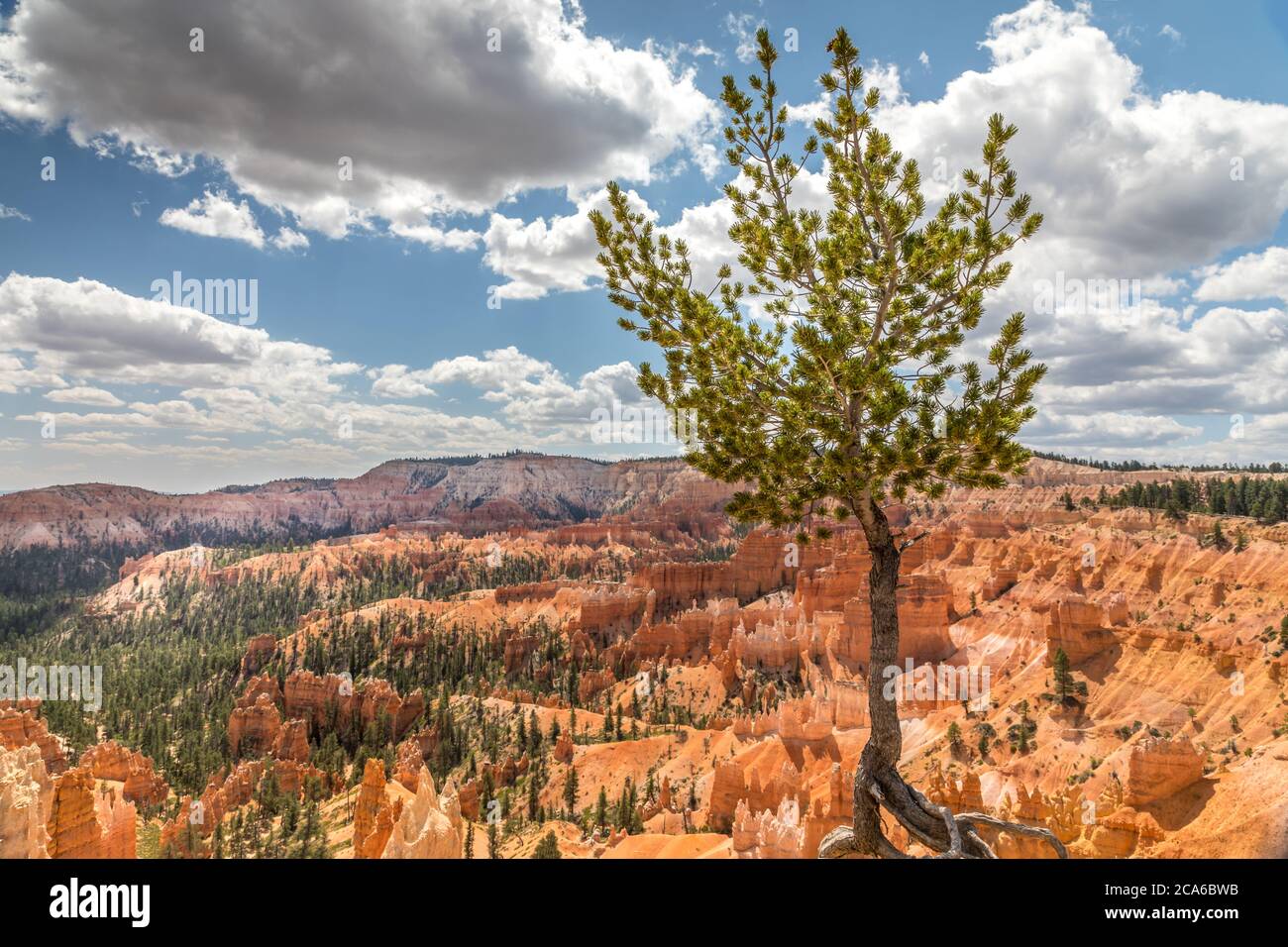 Amphitheater im Bryce Canyon, Utah USA Stockfoto