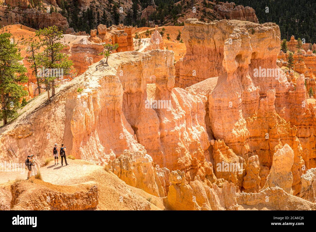 Hoodoo Bildung im Bryce Canyon National Park, Utah Stockfoto