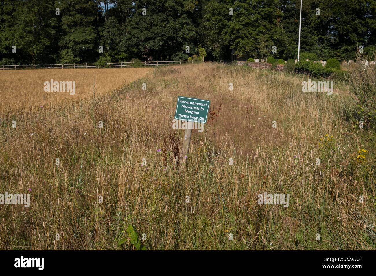 Environmental Stewardship Margen, Bitte halten Sie off Zeichen., am Rande eines Weizenfeldes. Norfolk UK. Stockfoto