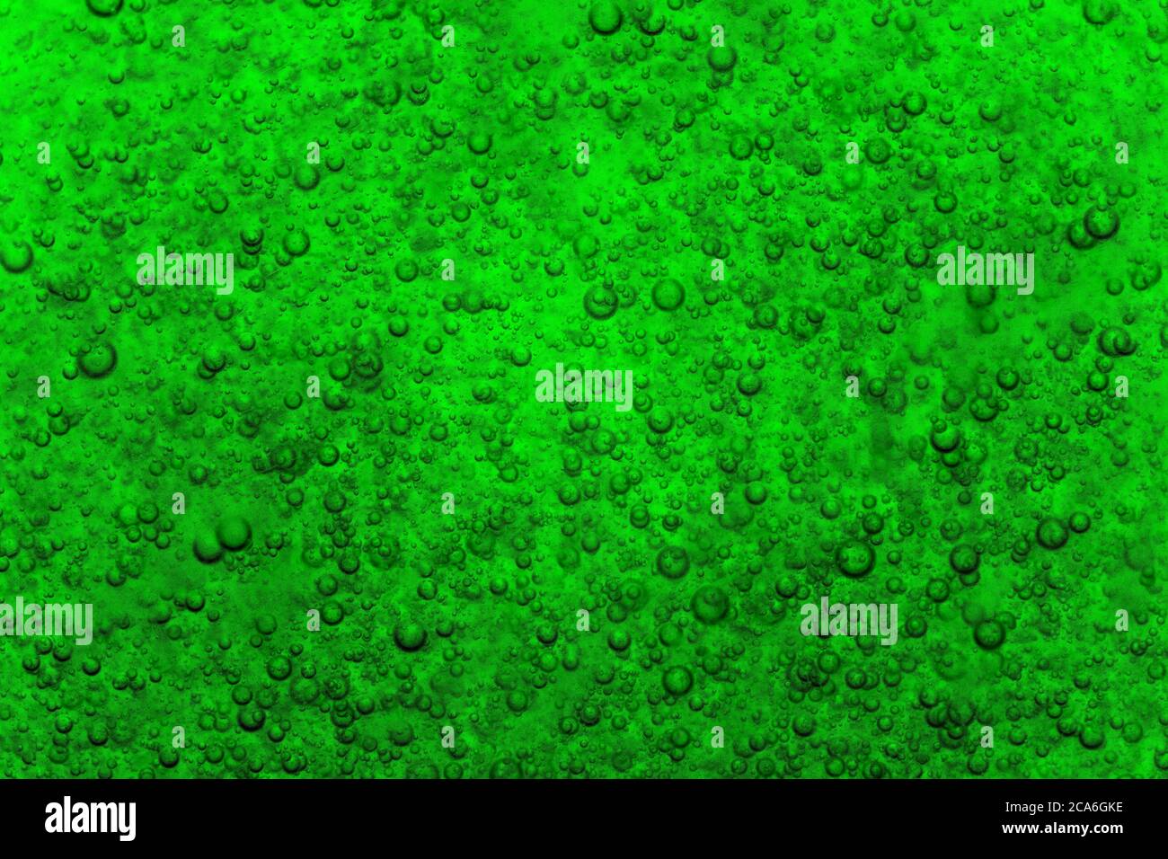 Grüne Bläschen Stockfoto