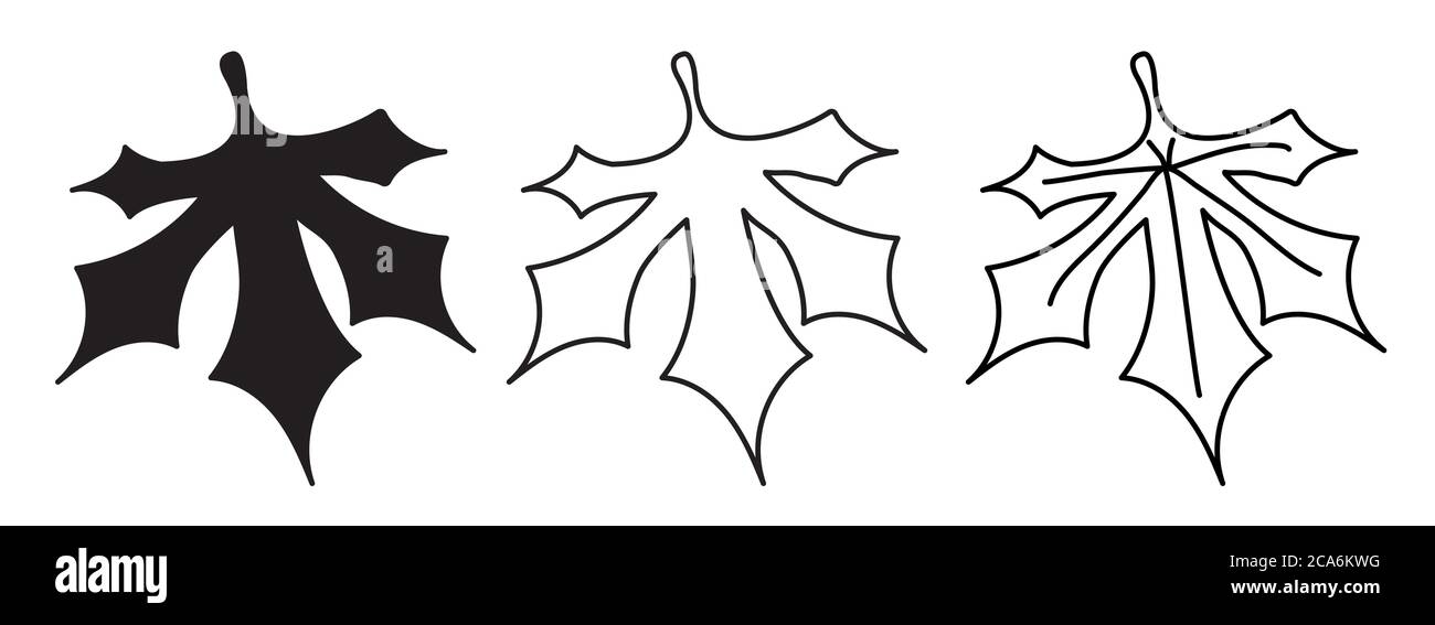 Botanik. Baumblätter. Verschiedene Versionen des Musters - Umriss, Silhouette und Blatt mit Adern. Element für Design und Dekor, Logo. Vektor. Isoliert Stock Vektor