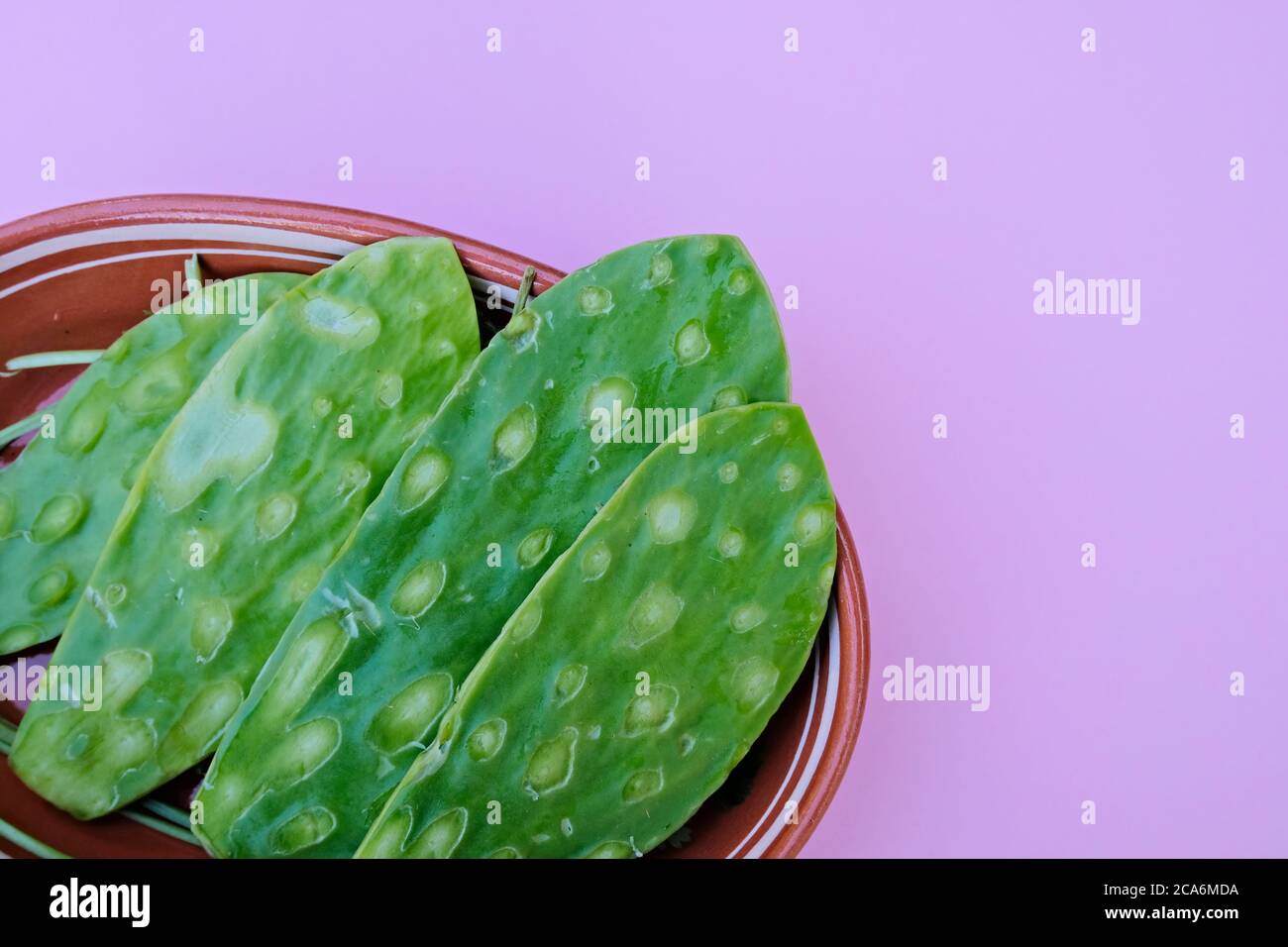 Fresh Nopal (Mexican Eßbare Kaktus), Pads sauber ohne Dornen traditionelle Tonplatte, isoliert auf einem rosa Hintergrund Stockfoto