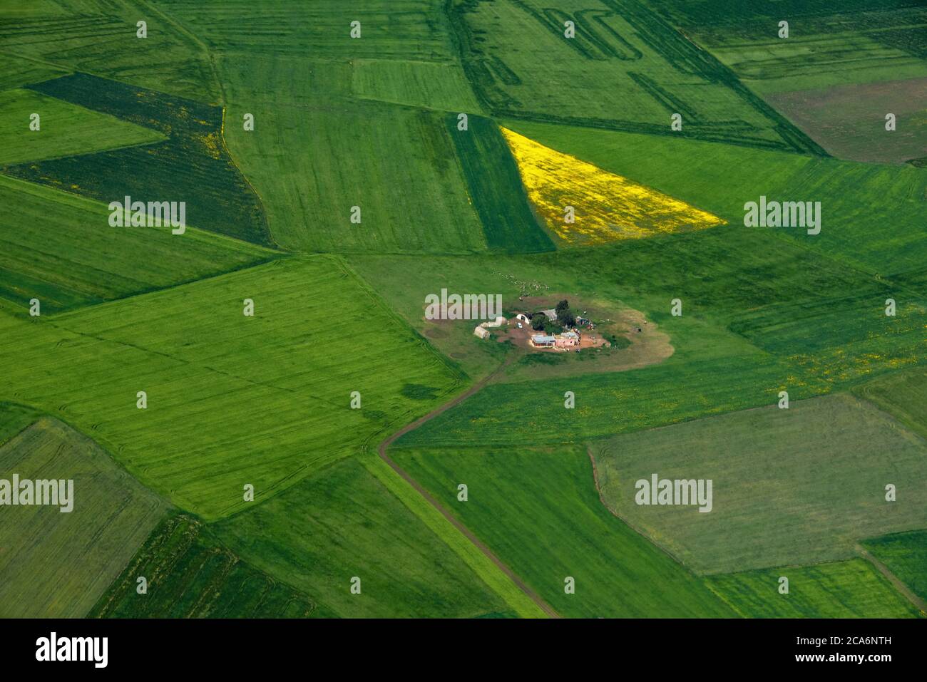 Kleiner Bauernhof zwischen grünen und gelben Feldern, Marokko Stockfoto