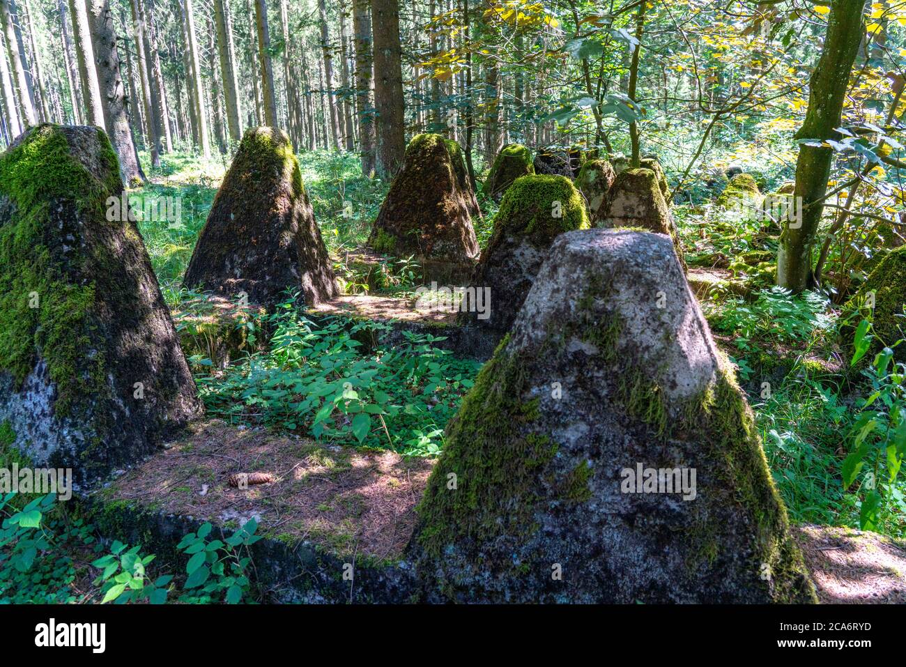 Überreste des ehemaligen Westwall, Panzerfallen, an der Grenze zu Belgien, in einem Wald in der Nähe des Dorfes Miescheid, NRW, Deutschland, Stockfoto