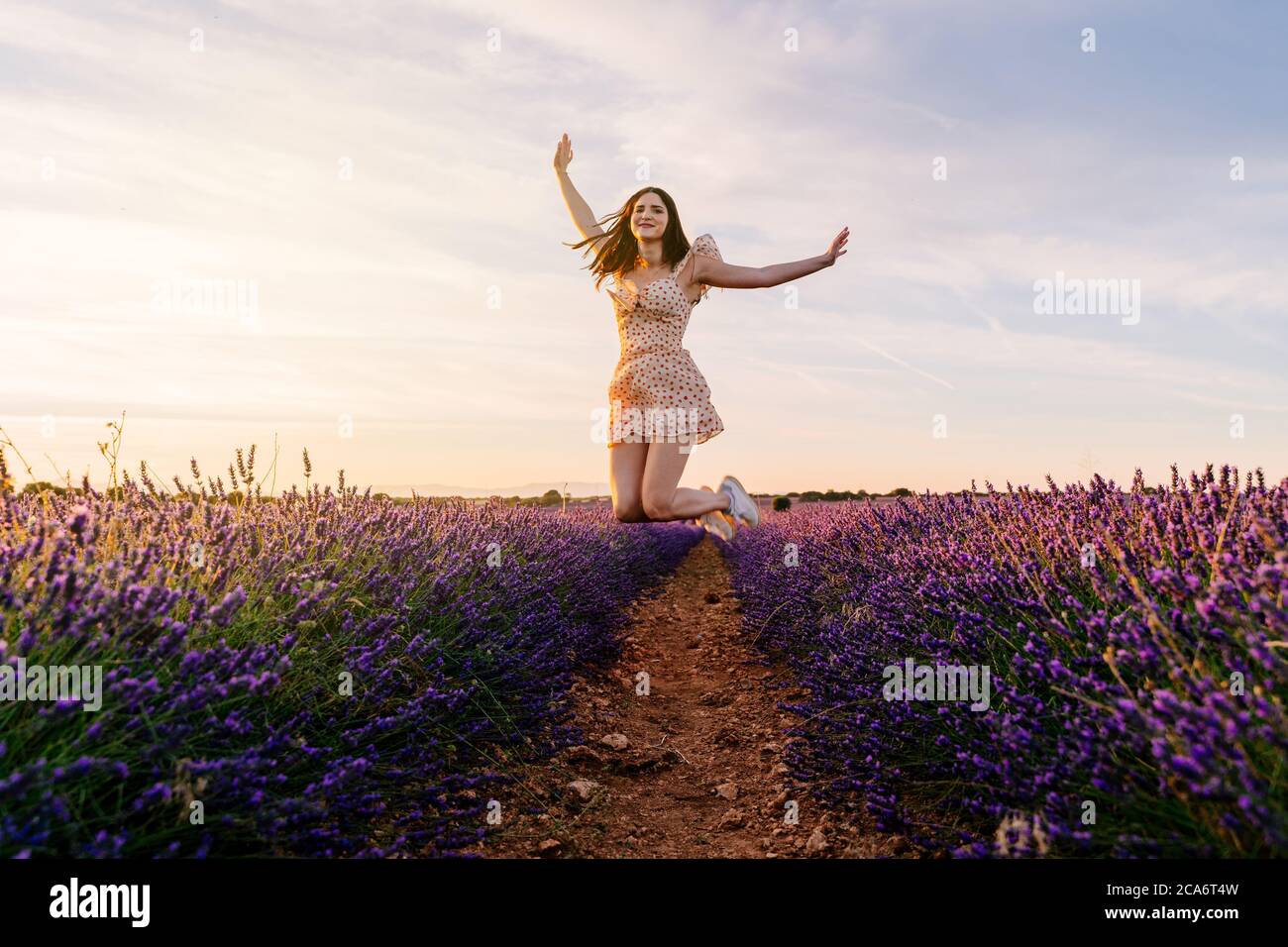Schöne Frau im Kleid springen in der blühenden Lavendel Feld während des Sonnenuntergangs. Vorderansicht Stockfoto