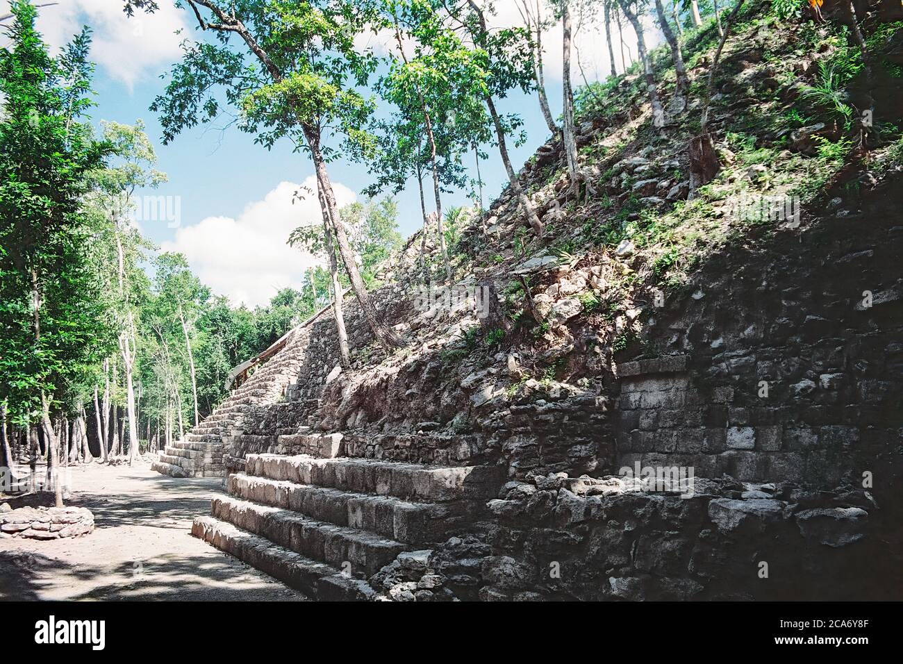 Struktur I. zeigt die Bäume, die aus der Pyramide wachsen. Balamku Maya Ruinen. Campeche, Mexiko. Vintage Film Bild - ca. 1990. Stockfoto