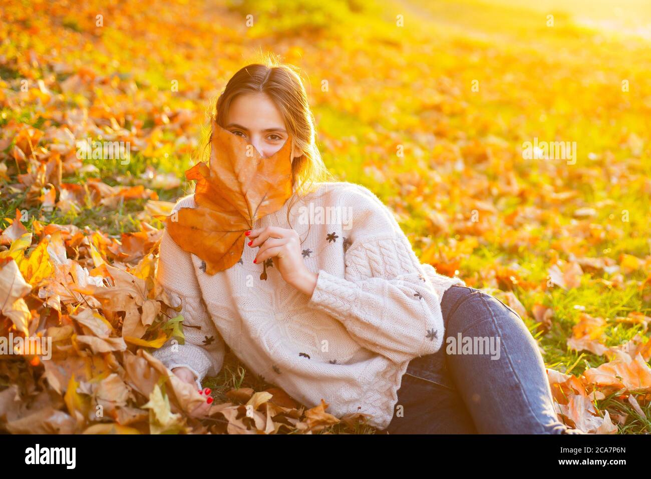 Junge Frau mit Herbstblättern in der Hand und gelbem Ahorn. Flirty Mädchen verträumt posiert. Schönheit der Augen. Stockfoto