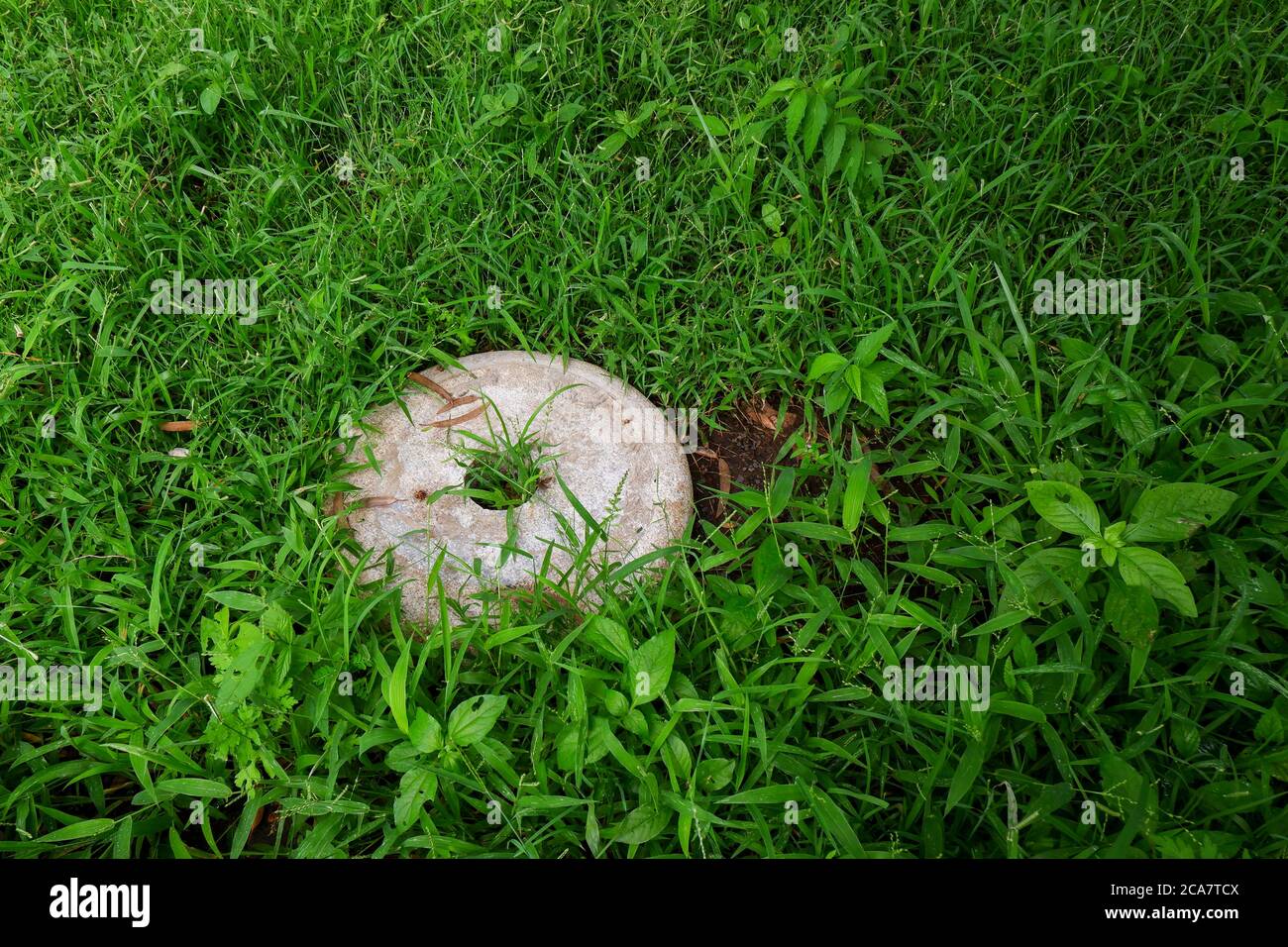 Ein naher Blick auf weißen runden Granitstein isoliert auf grünem Gras im Feld Stockfoto