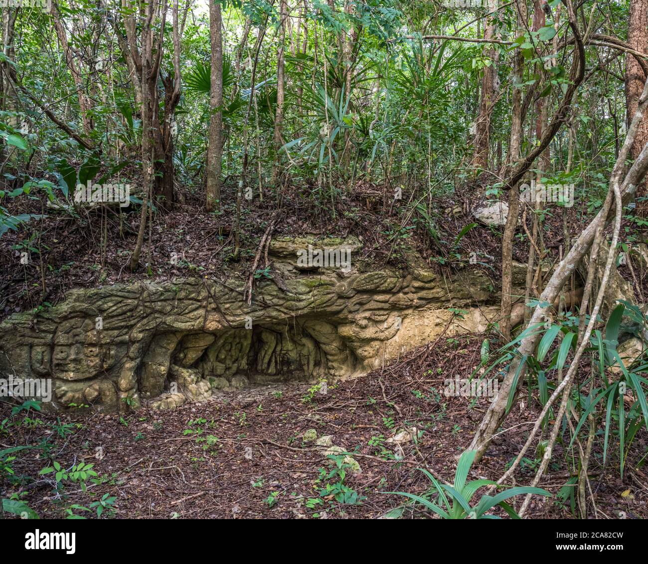 Sehr alte Steinschnitzereien in der Nähe der Ruinen der Maya-Stadt Muyil oder Chunyaxche im UNESCO-Weltbiosphärenreservat Sian Ka'an, Quintana Roo, Mexiko Stockfoto