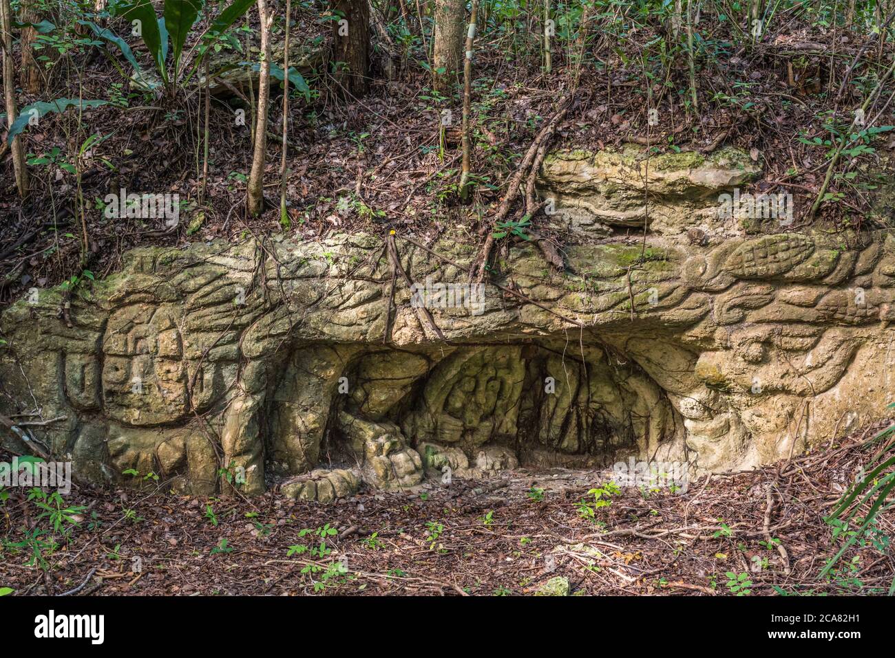 Sehr alte Steinschnitzereien in der Nähe der Ruinen der Maya-Stadt Muyil oder Chunyaxche im UNESCO-Weltbiosphärenreservat Sian Ka'an in Quintana Roo, Mex. Stockfoto