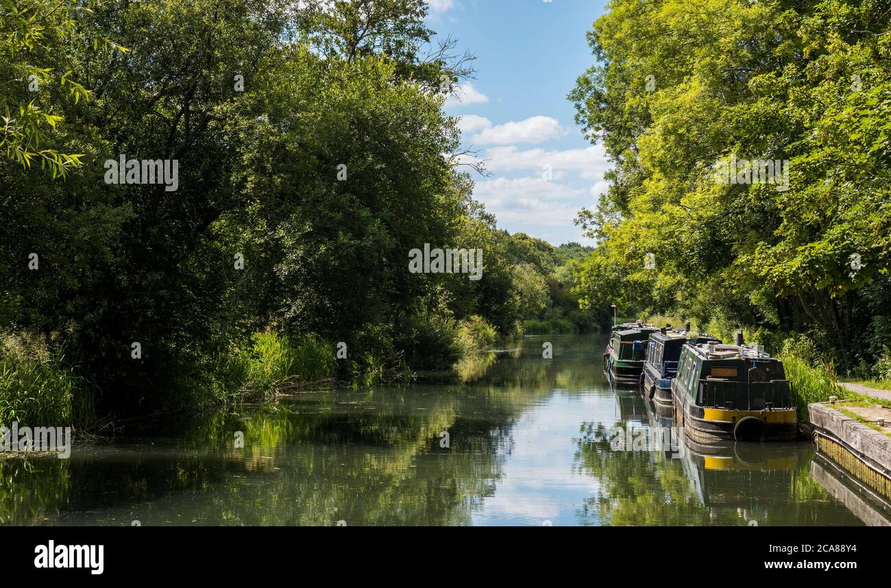 Schöne friedliche Landschaft, Kennet und Avon Canal, Newbury, Berkshire, England, Großbritannien, GB. Stockfoto
