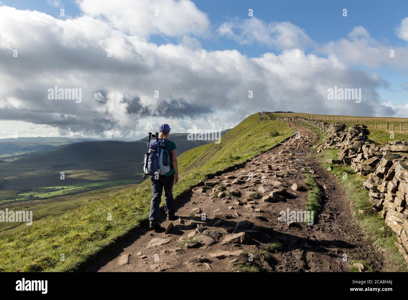 Walker auf dem Summit Ridge von Whernside von Knoutberry Hill, Yorkshire Dales, Großbritannien Stockfoto