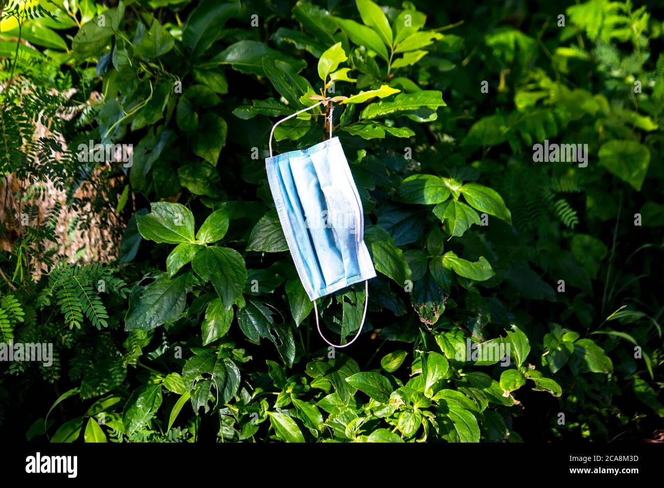 Werfen Sie gebrauchte Maske überall ist sehr unhygienisch für die Gesundheit Stockfoto