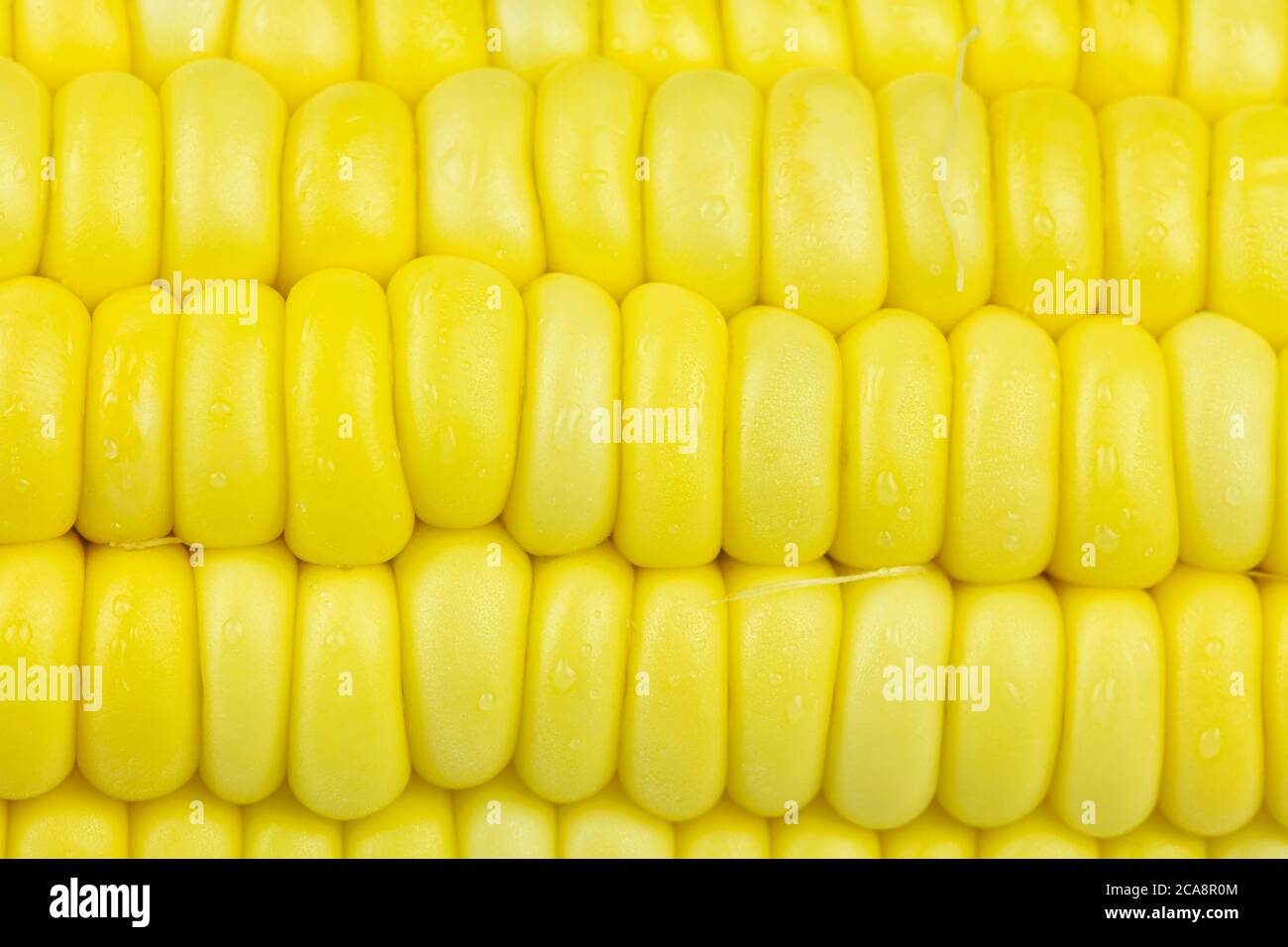 Nahaufnahme Textur und Hintergrund von frischen süßen Hühneraugen Samen. Stockfoto