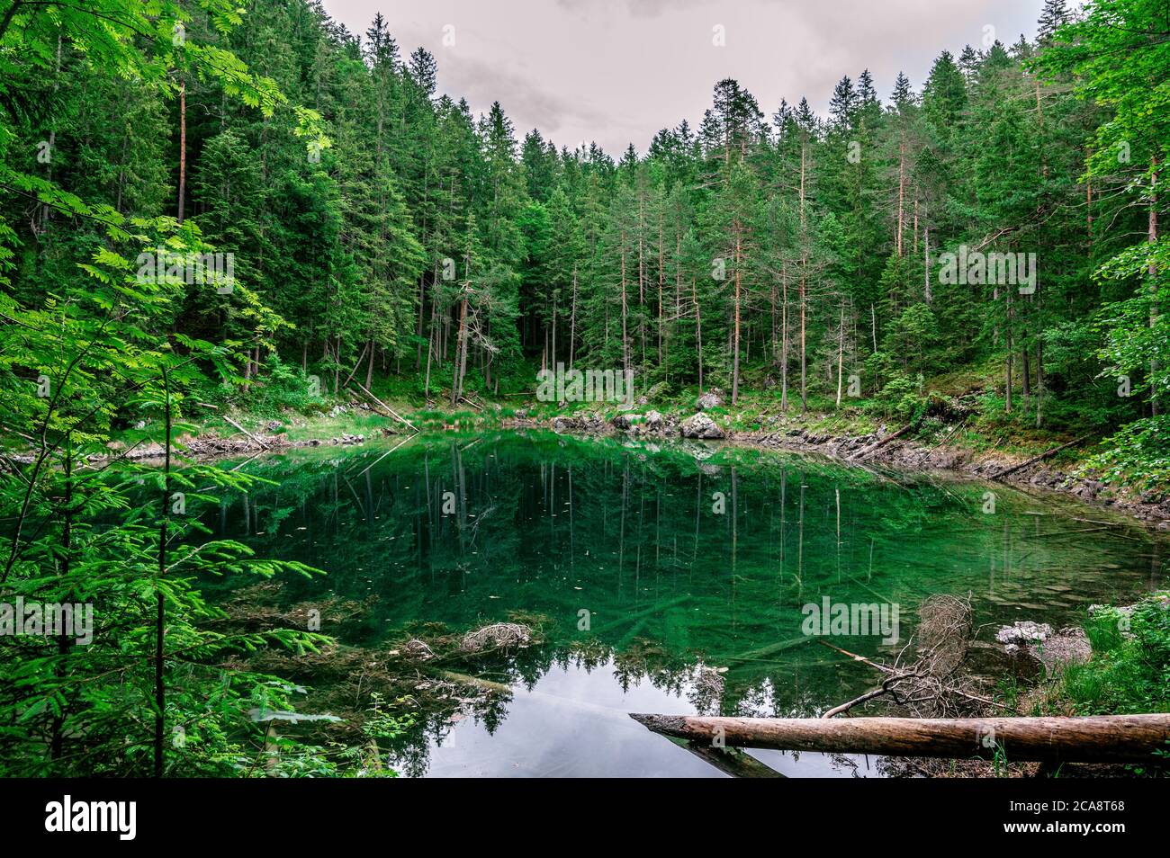 Steinringprielsee - wunderschöne Landschaft am Eibsee in den deutschen Alpen, Bayern, Deutschland, Europa. Stockfoto