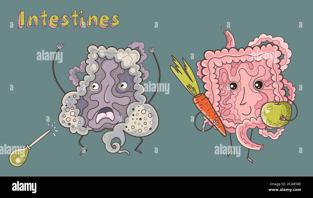 Starker gesunder, glücklicher Darmcharakter mit Apfel und Karotten. Und ein ungesunder Darm, der einen Einlauf erfordert. Verdauungstrakt, gesunde Ernährung, Stock Vektor