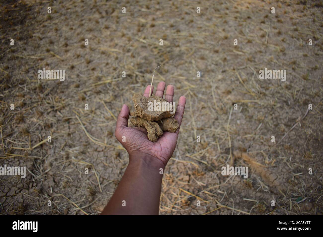 Ein Mann hält einige Stücke von ausgetrockneten Ackerboden in der Hand. Life of Farmers Konzept. Stockfoto